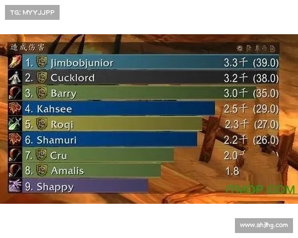 魔兽世界伤害插件大揭秘